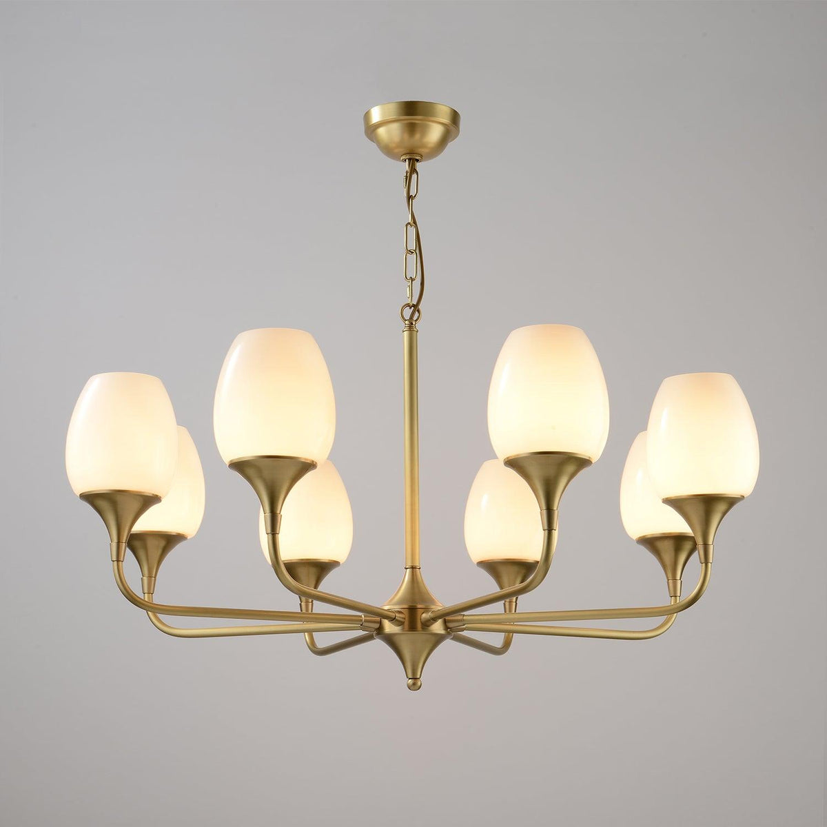 Charlie Chandelier 8 heads Dia 34.6″ x H 21.7″ / Dia 88cm x H 55cm / Brass Chandelier