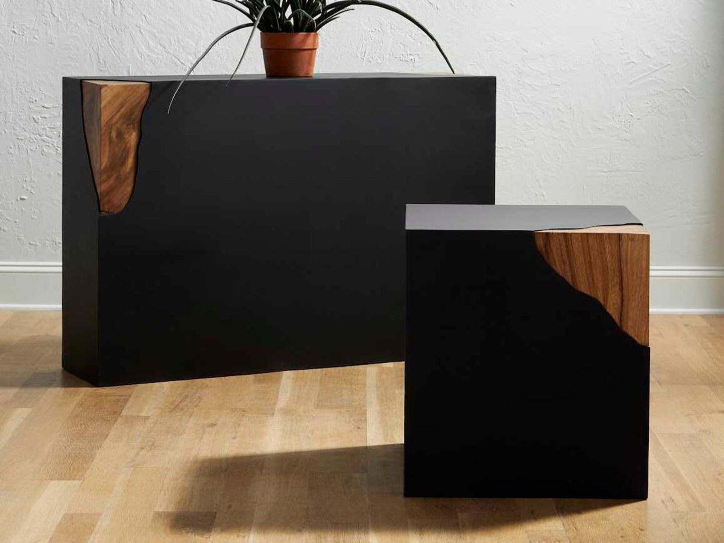 Phillips Collection