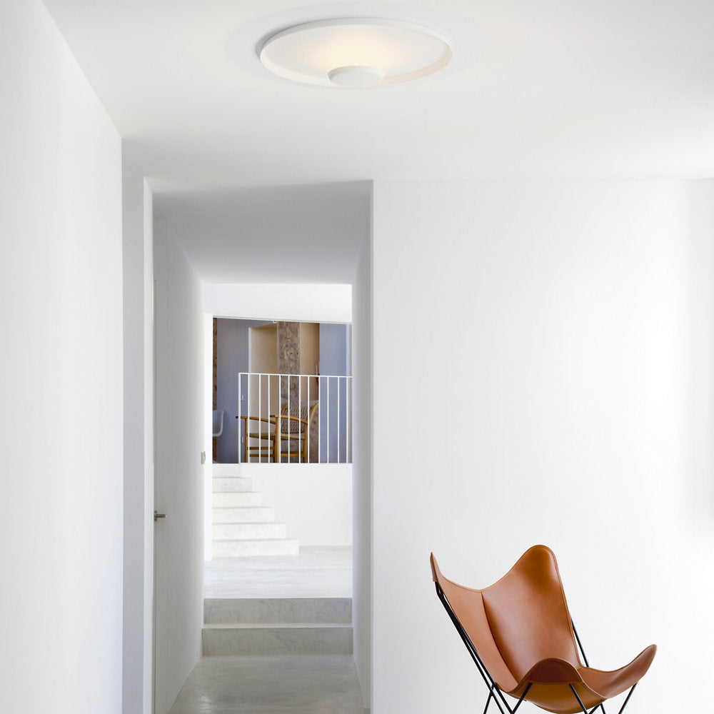 Top LED Wall Sconce/Flushmount