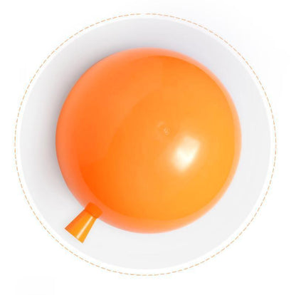 Balloon Dream Wall Light 1001 Wall lamp