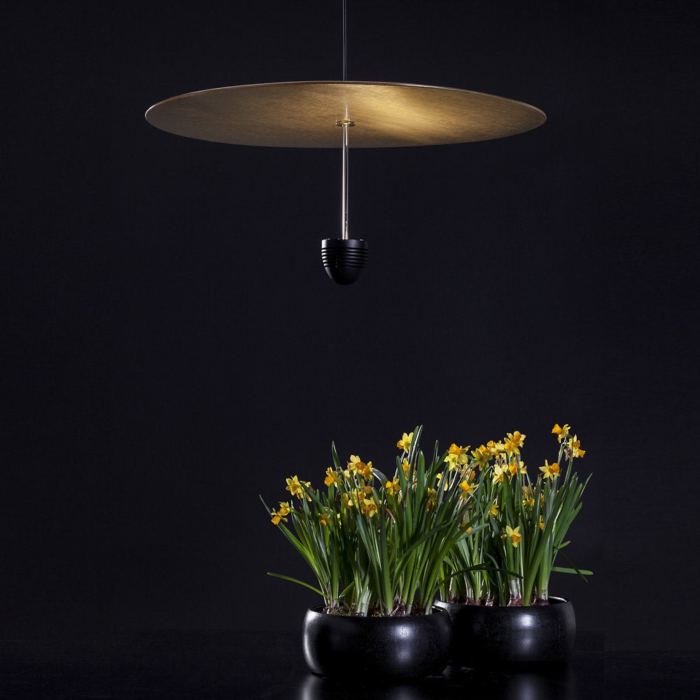 Skyfall C1/C2 LED Pendant