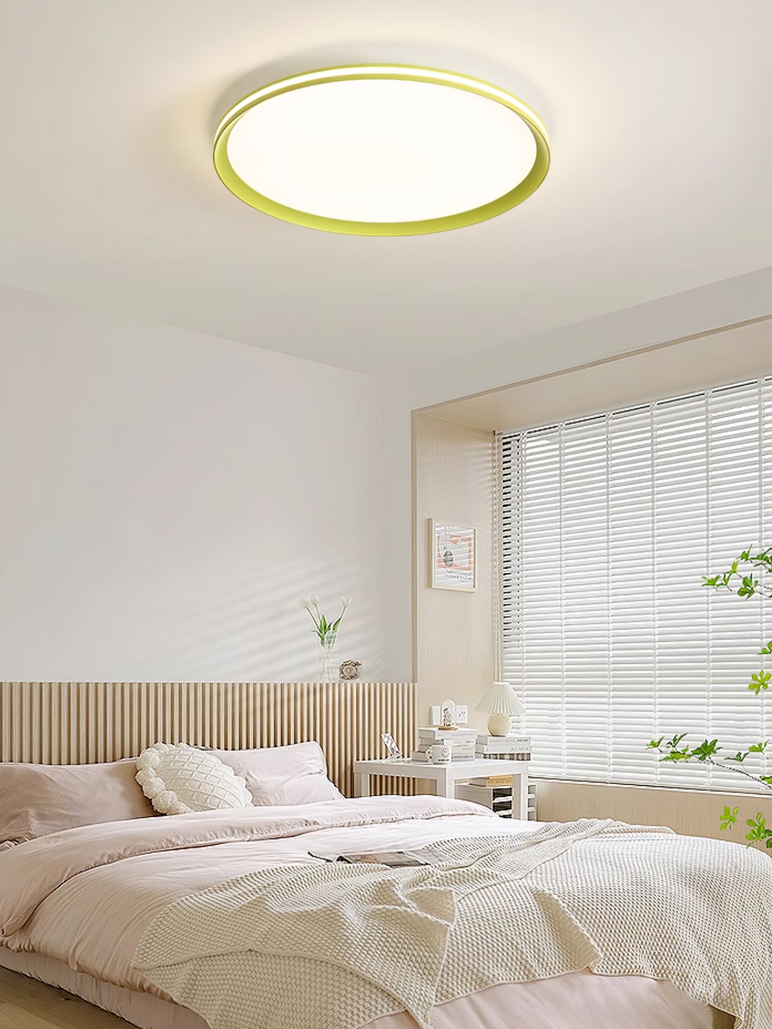 Acrylic Circular LED Ceiling Light Ceiling lamp