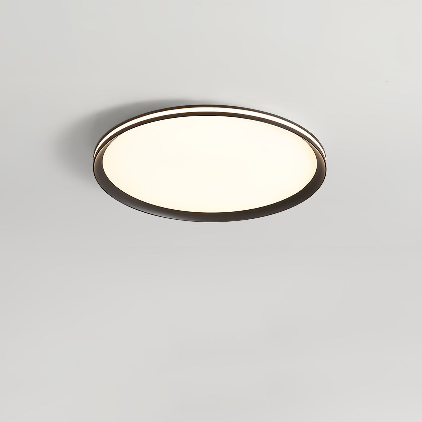 Acrylic Circular LED Ceiling Light Ceiling lamp