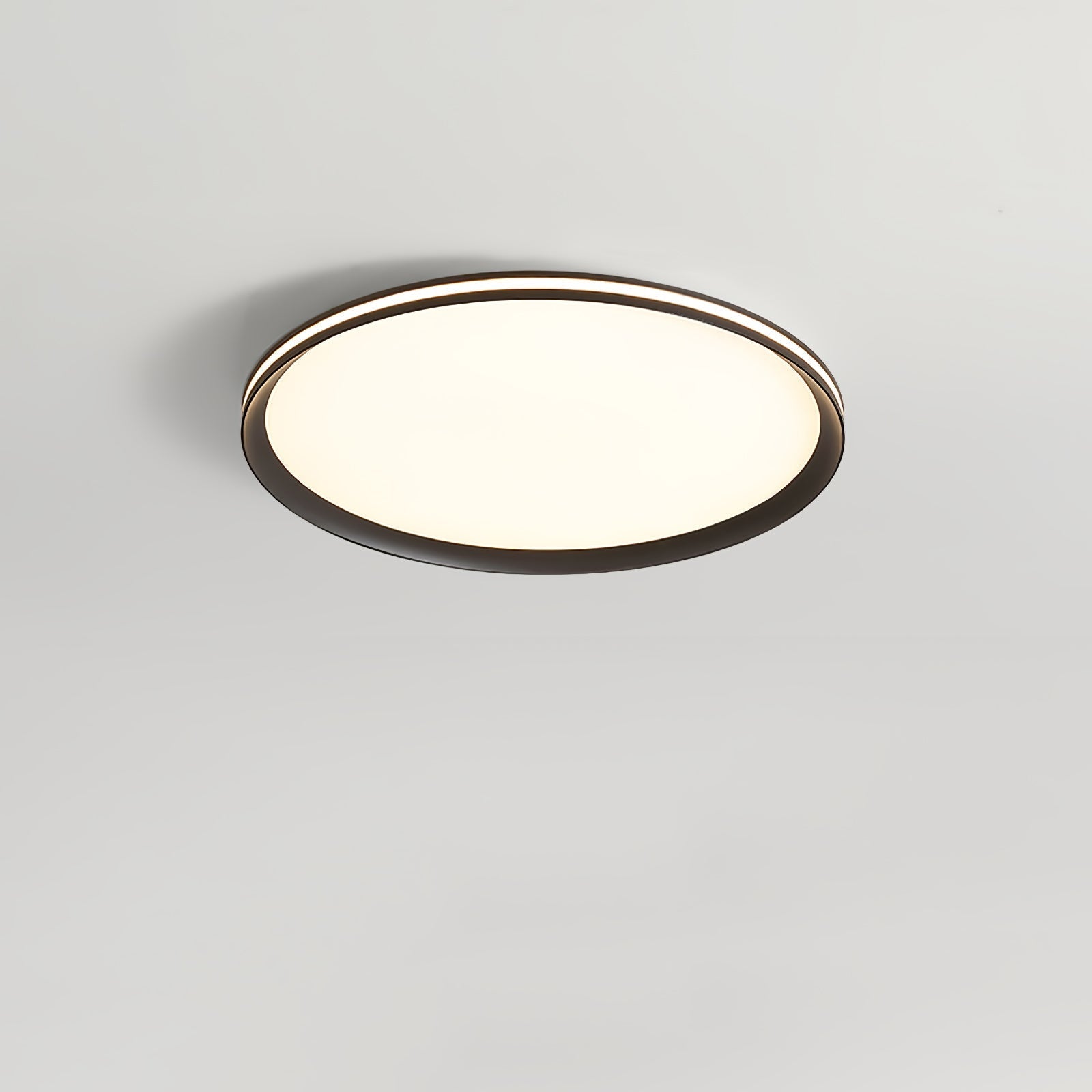 Acrylic Circular LED Ceiling Light Ceiling lamp
