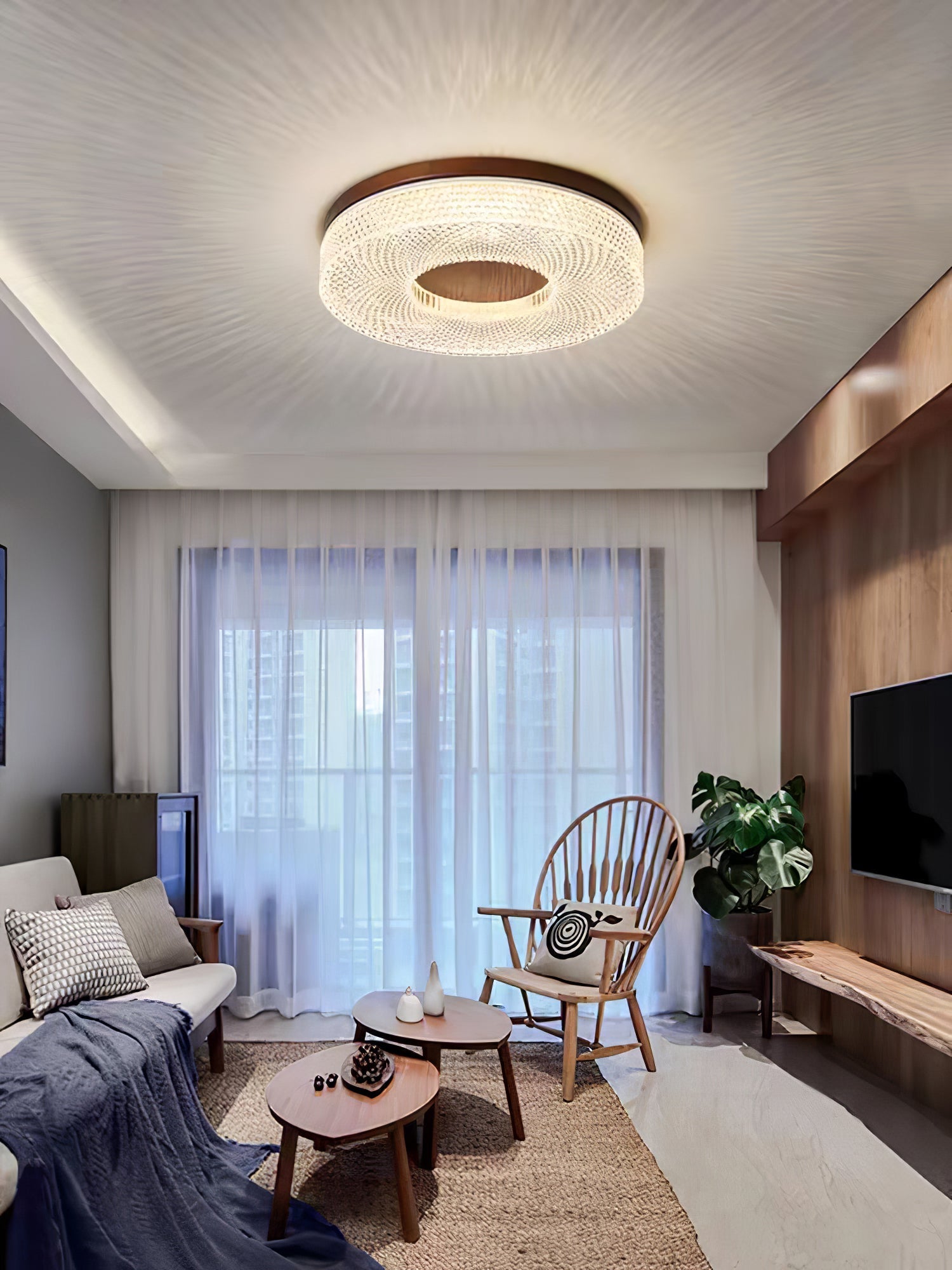 Acrylic Halo Round Ceiling Light Ceiling lamp