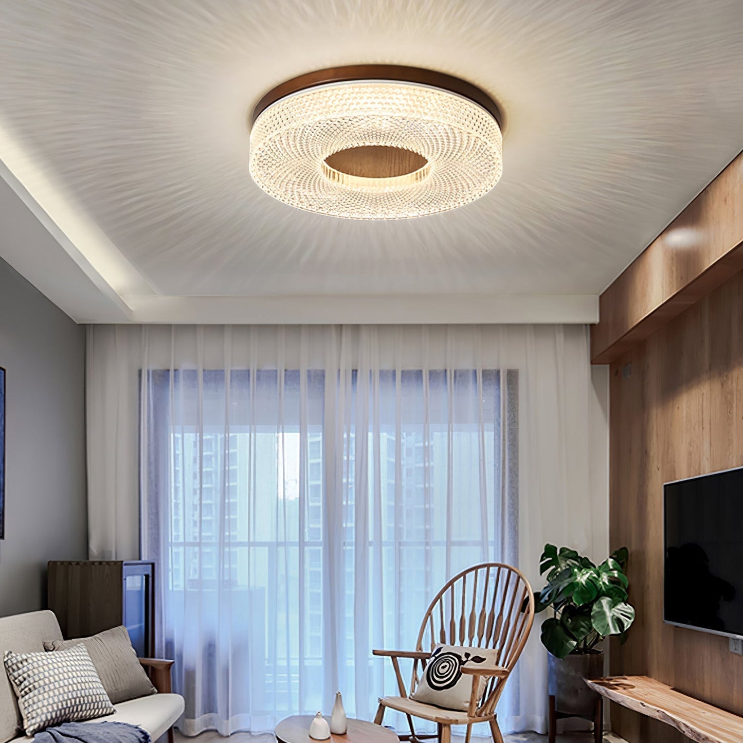 Acrylic Halo Round Ceiling Light Ceiling lamp