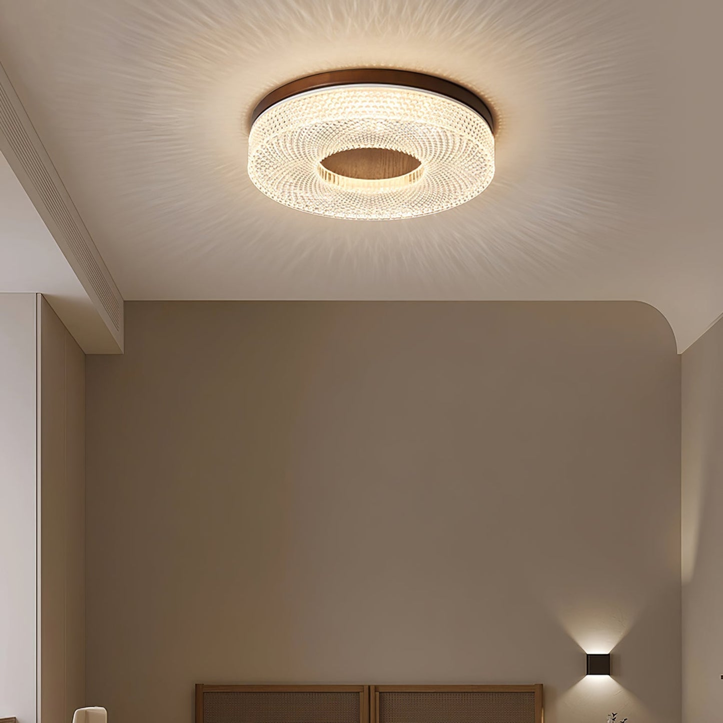 Acrylic Halo Round Ceiling Light Ceiling lamp