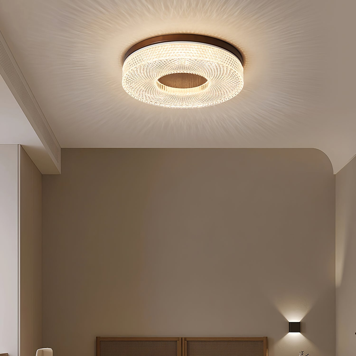 Acrylic Halo Round Ceiling Light Ceiling lamp
