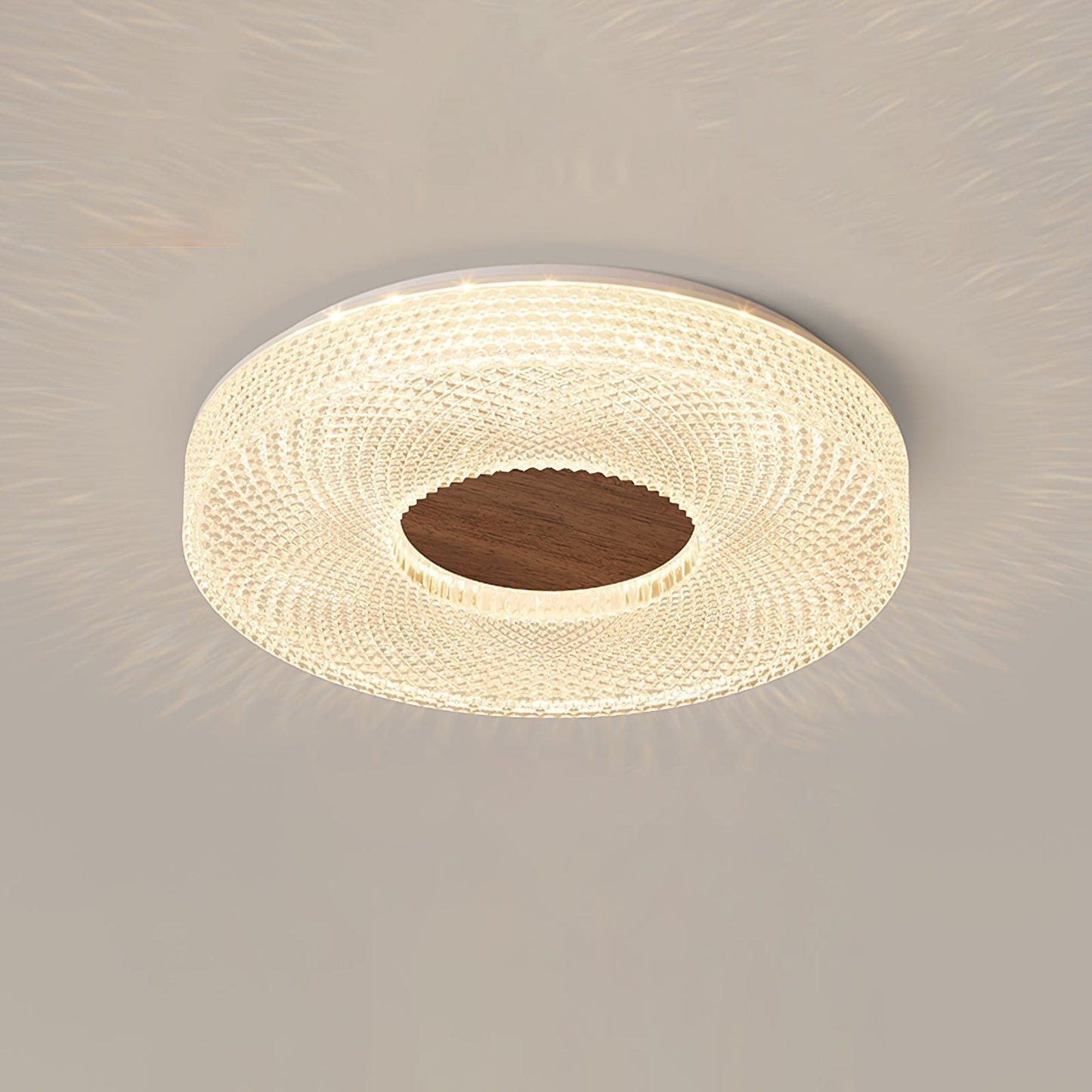 Acrylic Halo Round Ceiling Light Ceiling lamp