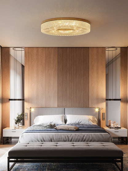 Acrylic Halo Round Ceiling Light Ceiling lamp