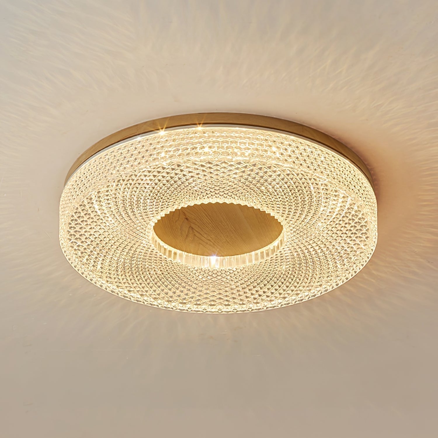 Acrylic Halo Round Ceiling Light Ceiling lamp