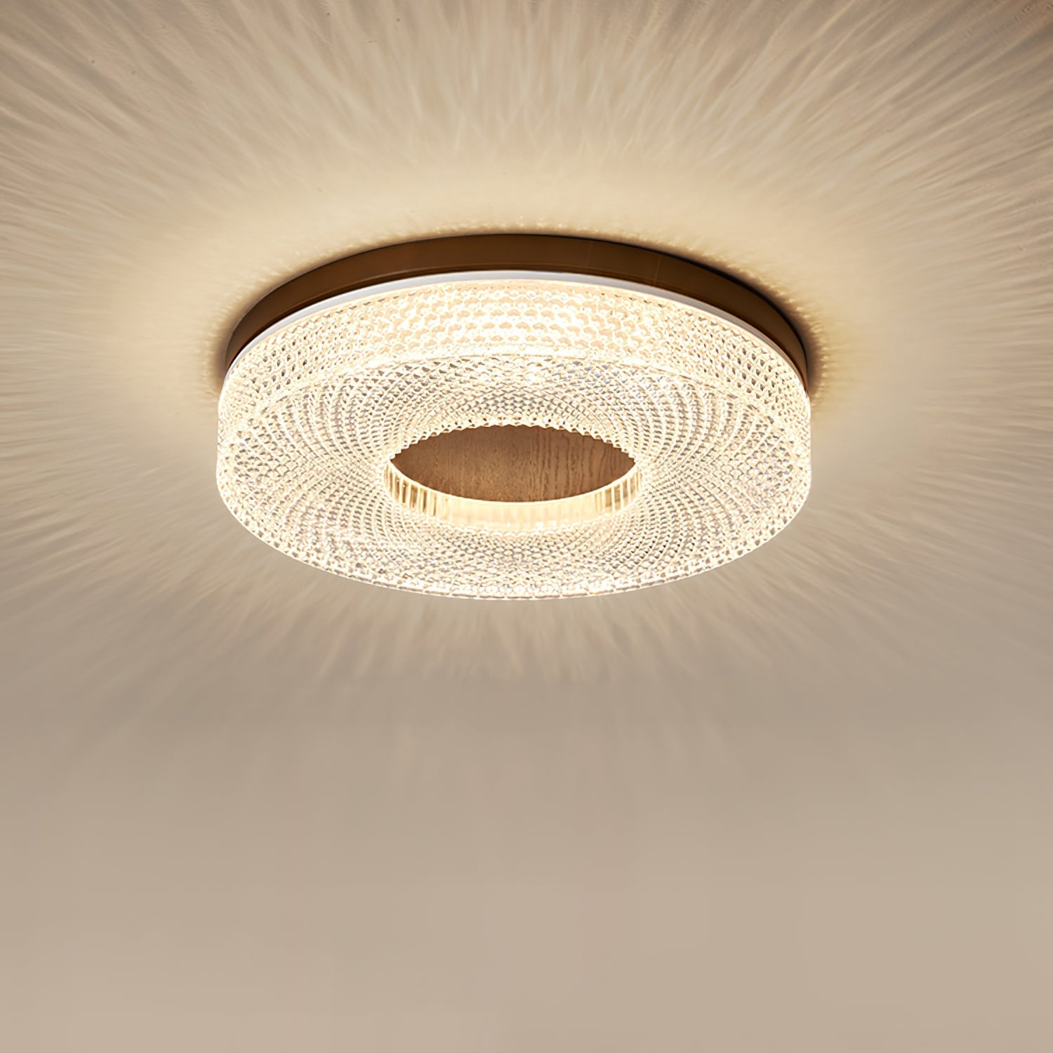 Acrylic Halo Round Ceiling Light Ceiling lamp