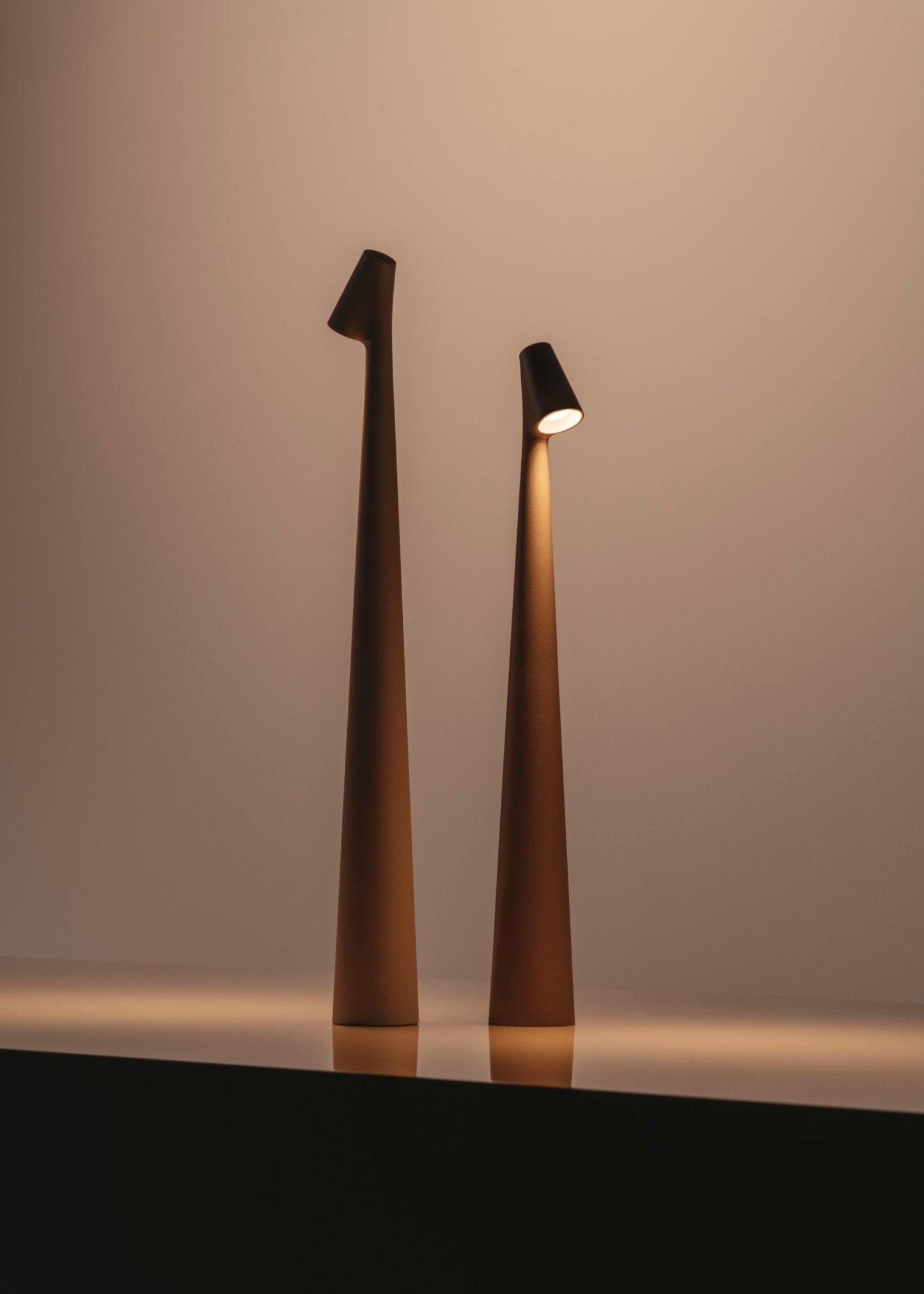 Africa Floor Lamp Floor lamp