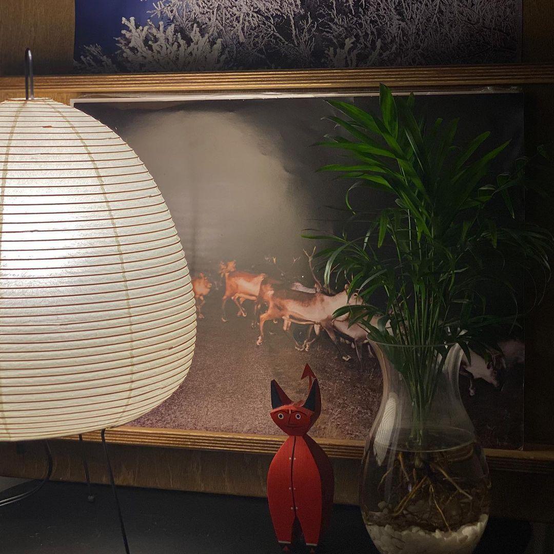 Washi Paper Table Lamp Table lamp