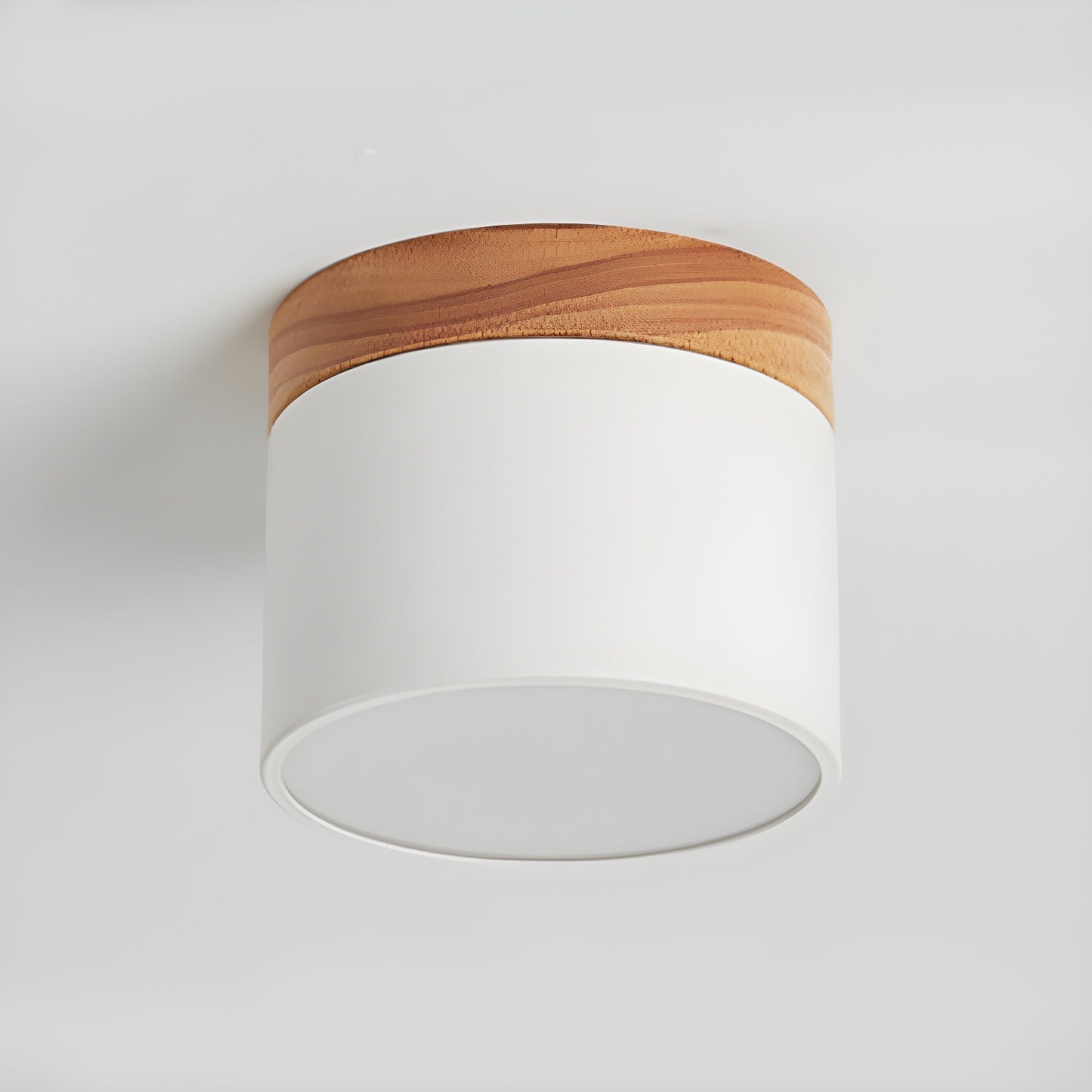 Alva Wooden Surface Downlight 1001 Ceiling lamp