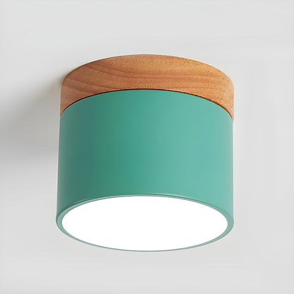 Alva Wooden Surface Downlight ? 3.9″ x H 3.1″ / Green / Warm Light 1001 Ceiling lamp