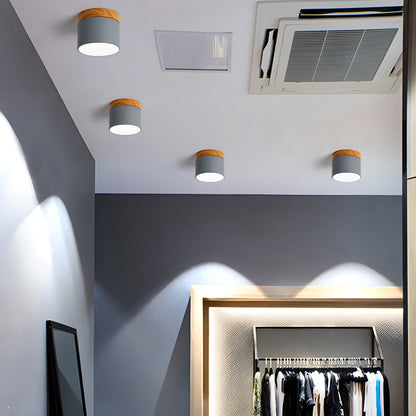 Alva Wooden Surface Downlight 1001 Ceiling lamp