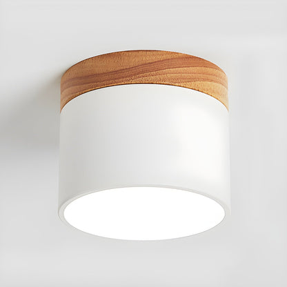 Alva Wooden Surface Downlight ? 3.9″ x H 3.1″ / White / Cool Light 1001 Ceiling lamp