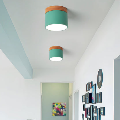 Alva Wooden Surface Downlight 1001 Ceiling lamp