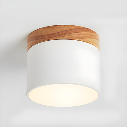 Alva Wooden Surface Downlight ? 3.9″ x H 3.1″ / White / Warm Light 1001 Ceiling lamp