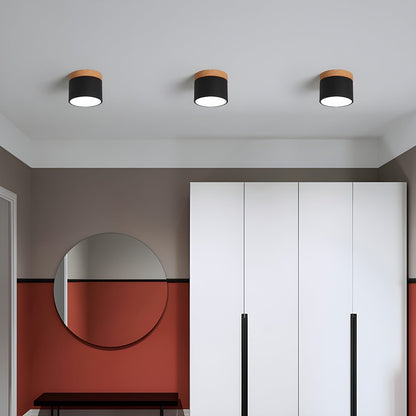 Alva Wooden Surface Downlight 1001 Ceiling lamp