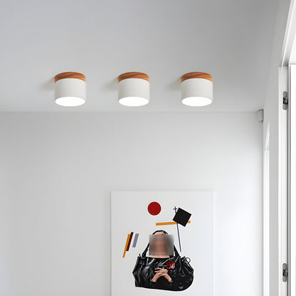 Alva Wooden Surface Downlight 1001 Ceiling lamp