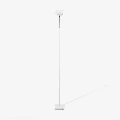 Ambient Floor Lamp Floor lamp