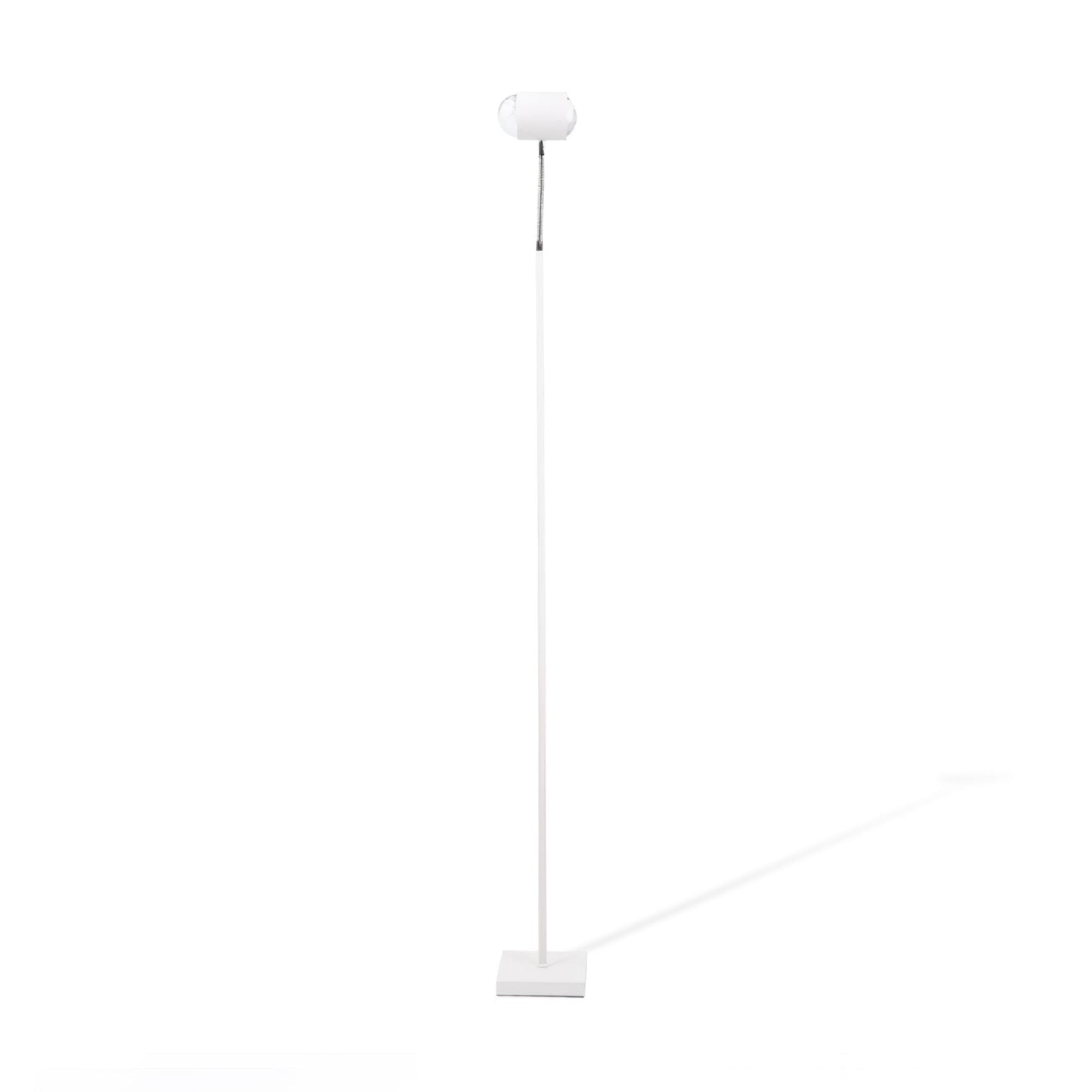 Ambient Floor Lamp Floor lamp