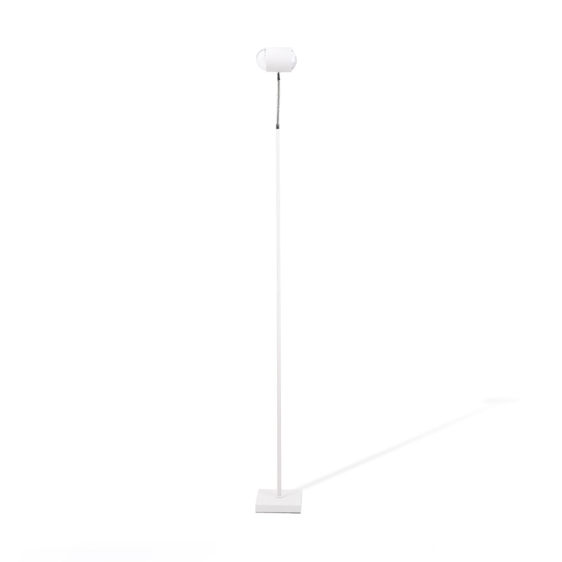 Ambient Floor Lamp Floor lamp