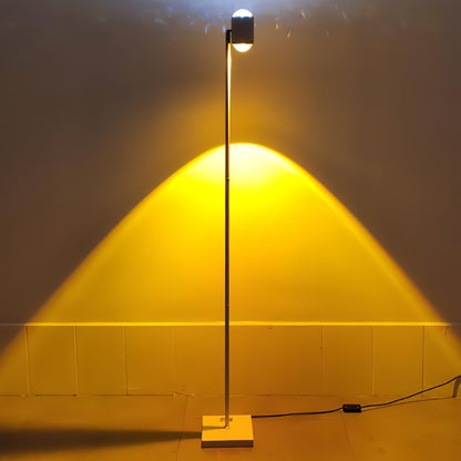 Ambient Floor Lamp Floor lamp