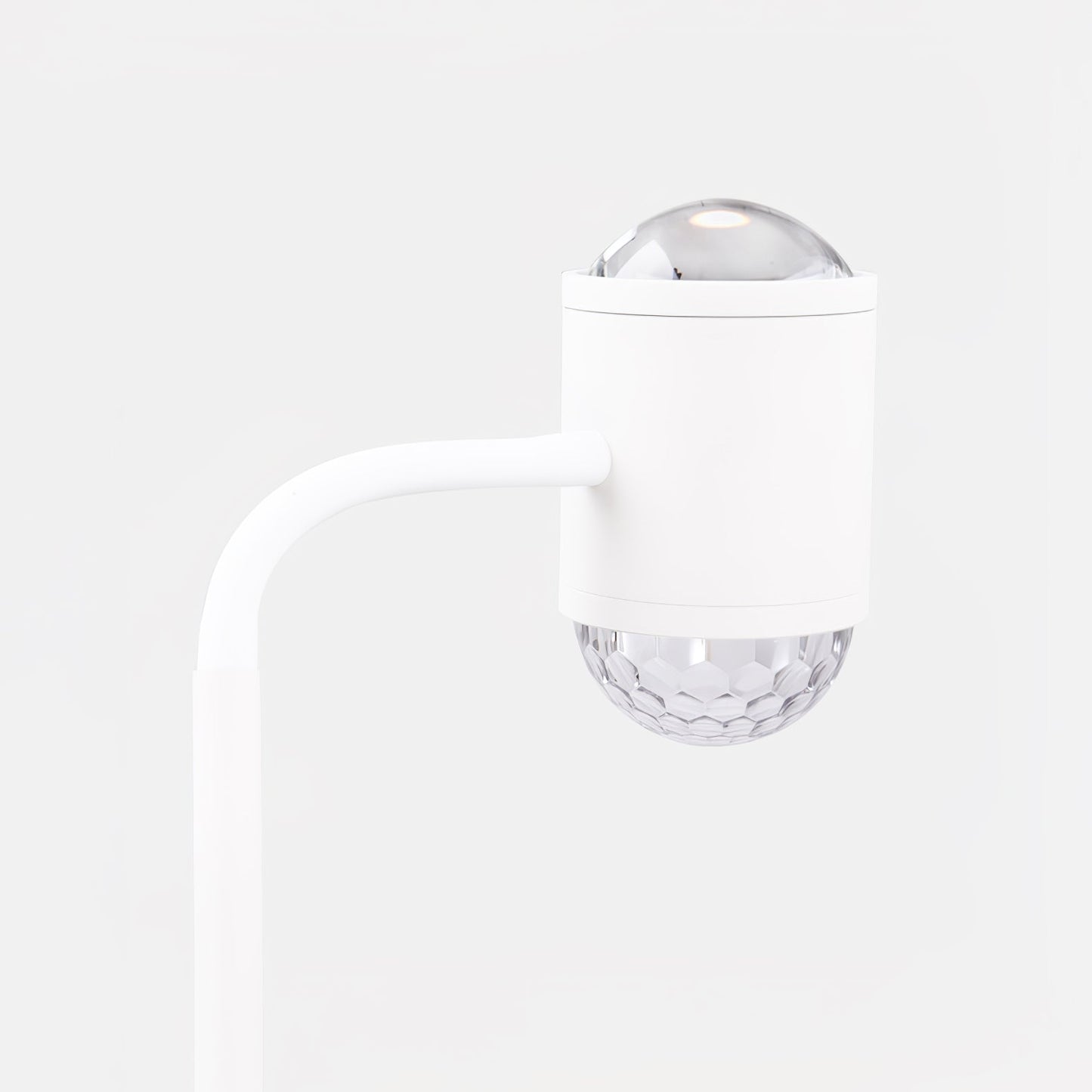 Ambient Floor Lamp Floor lamp