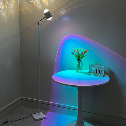 Ambient Floor Lamp Floor lamp