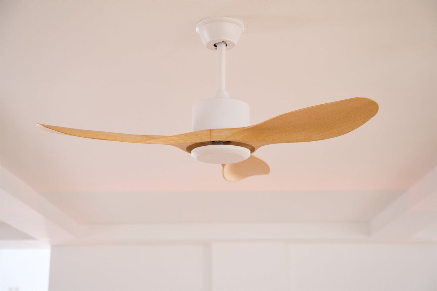 Amelia Ceiling Fan 1001 Ceiling fan
