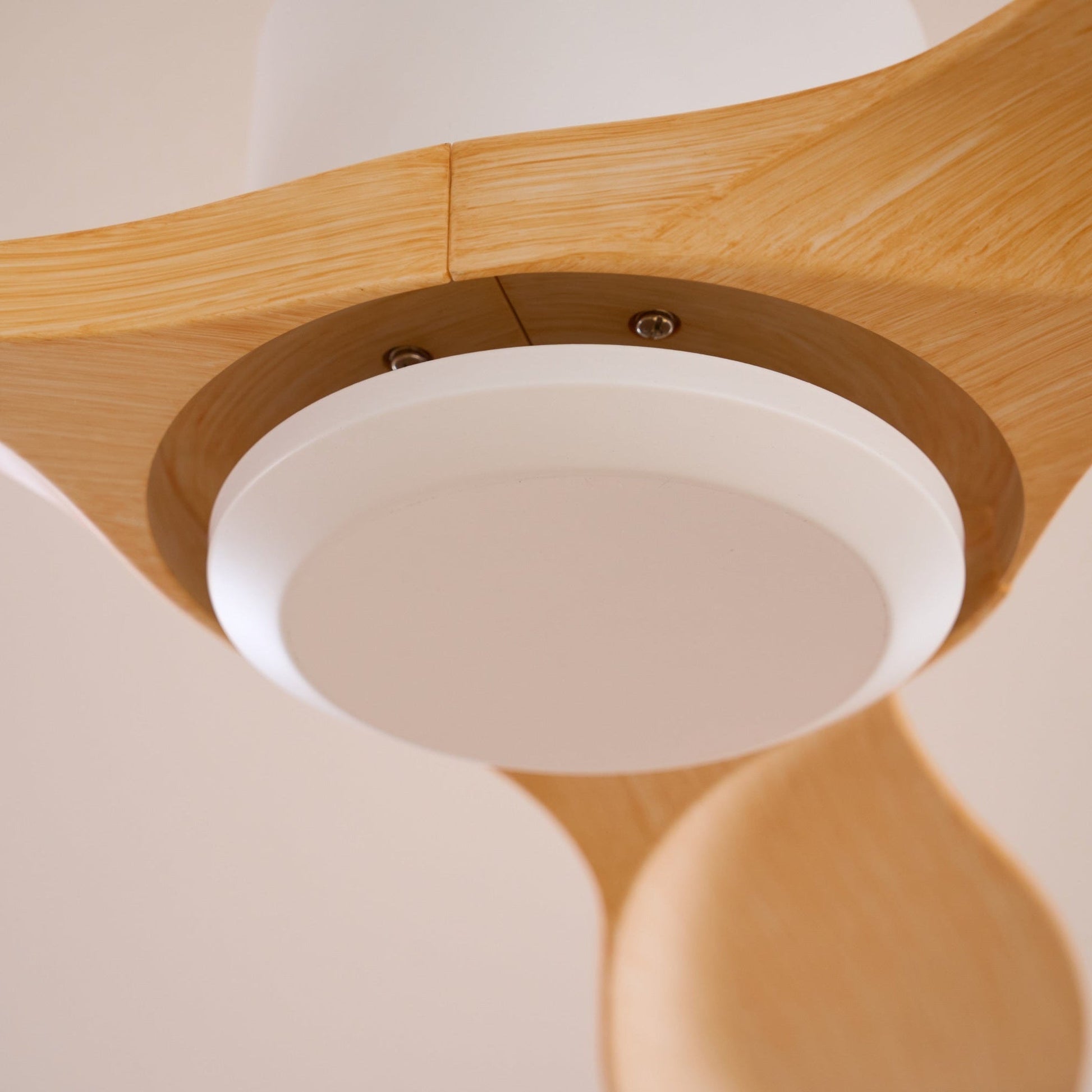 Amelia Ceiling Fan 1001 Ceiling fan
