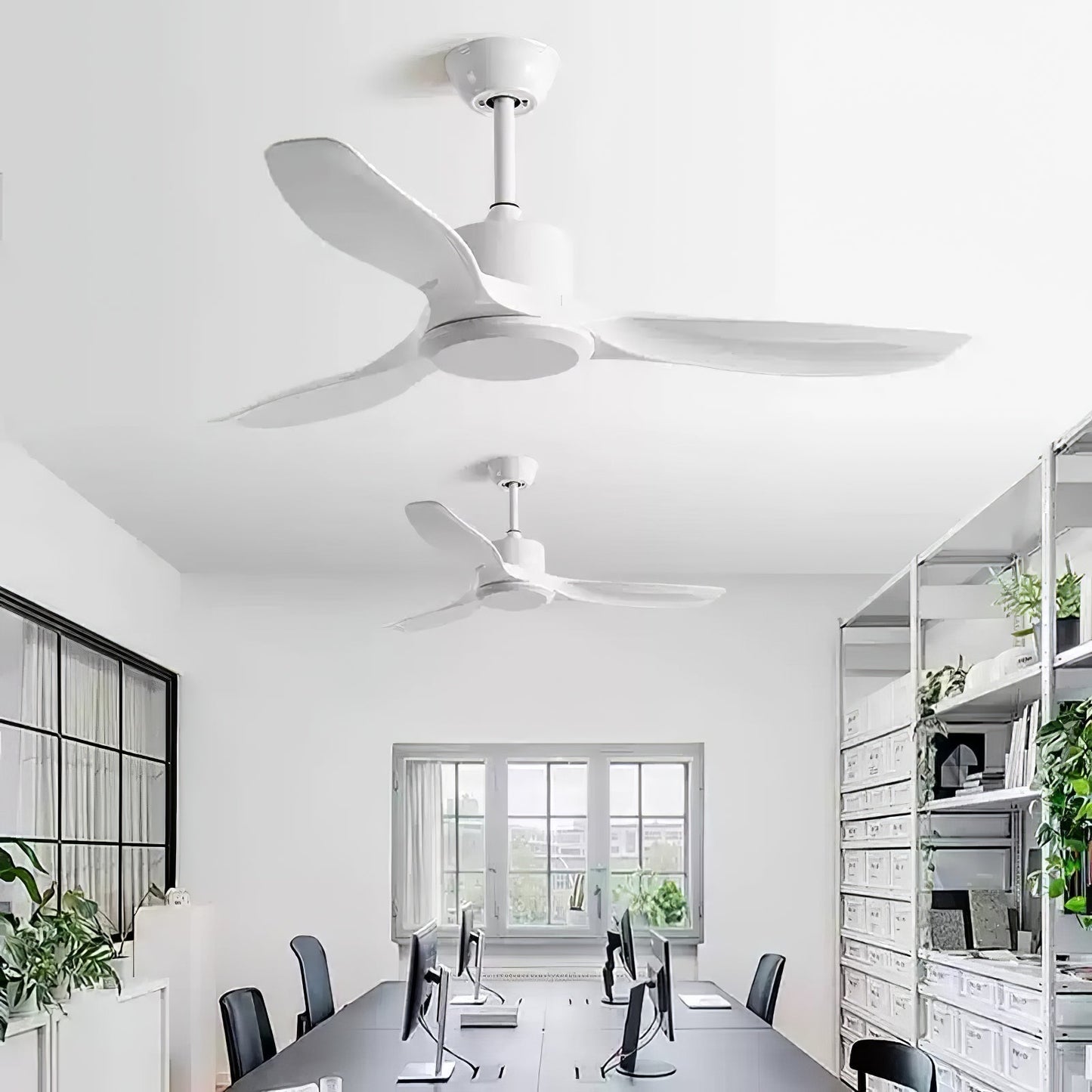 Amelia Ceiling Fan 1001 Ceiling fan