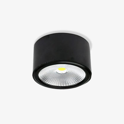 Anzio Spotlights Ceiling lamp