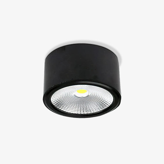 Anzio Spotlights Ceiling lamp