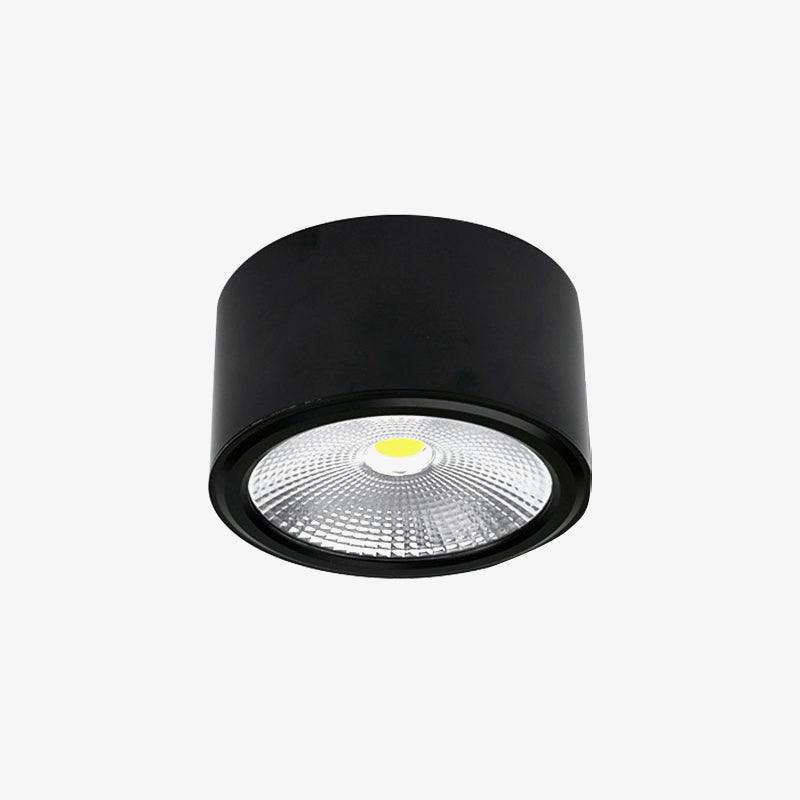 Anzio Spotlights Ceiling lamp