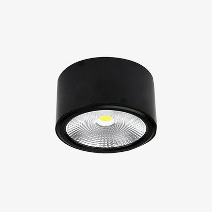 Anzio Spotlights Ceiling lamp
