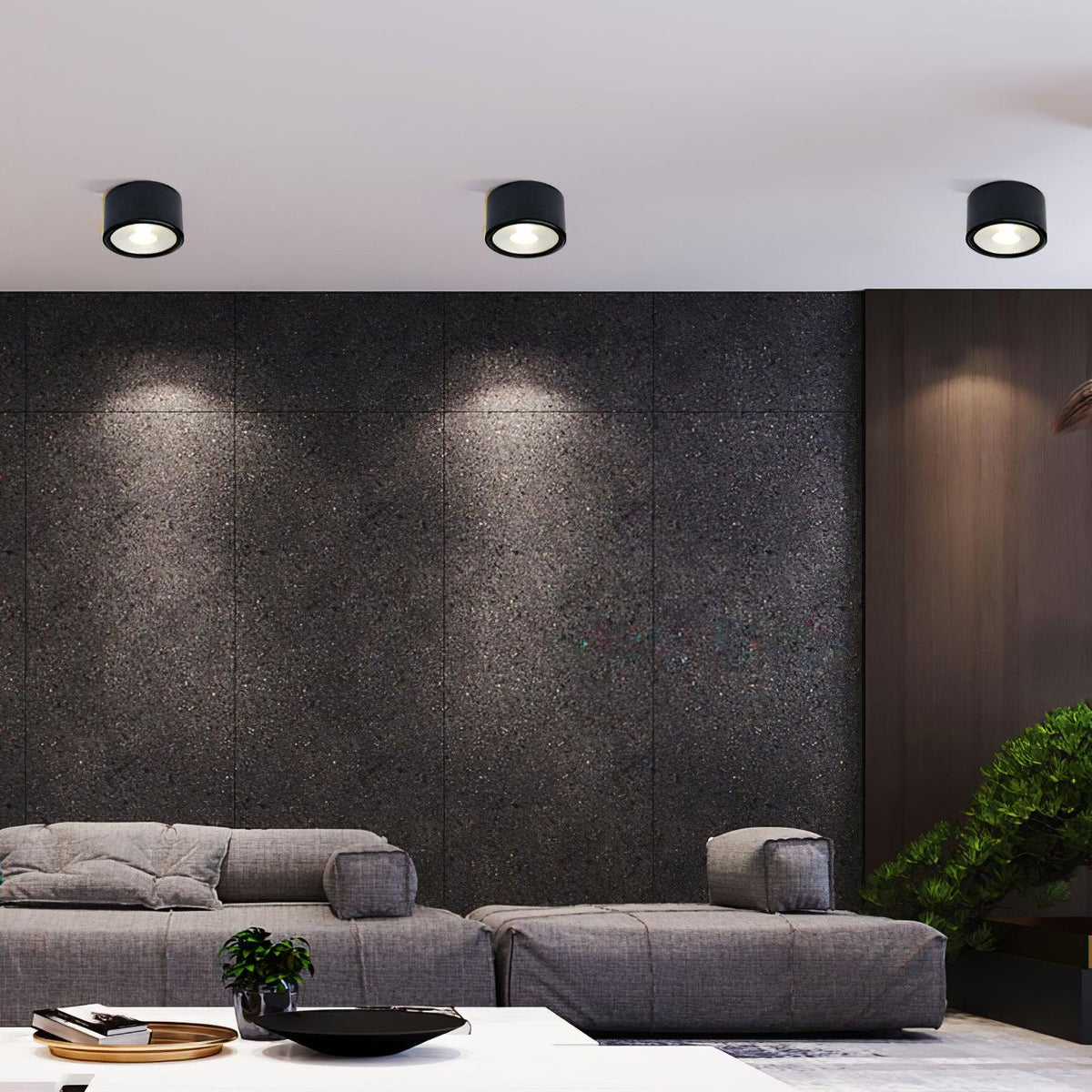 Anzio Spotlights Ceiling lamp