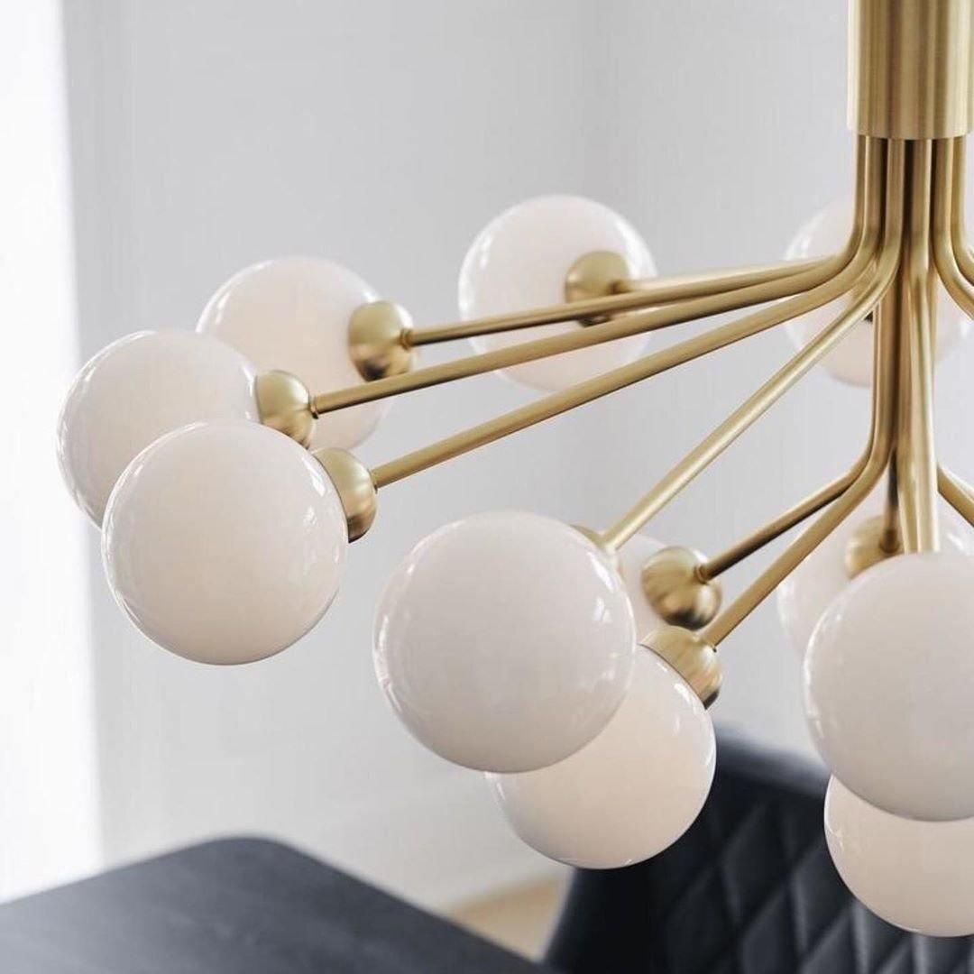Apiales Chandelier Chandelier
