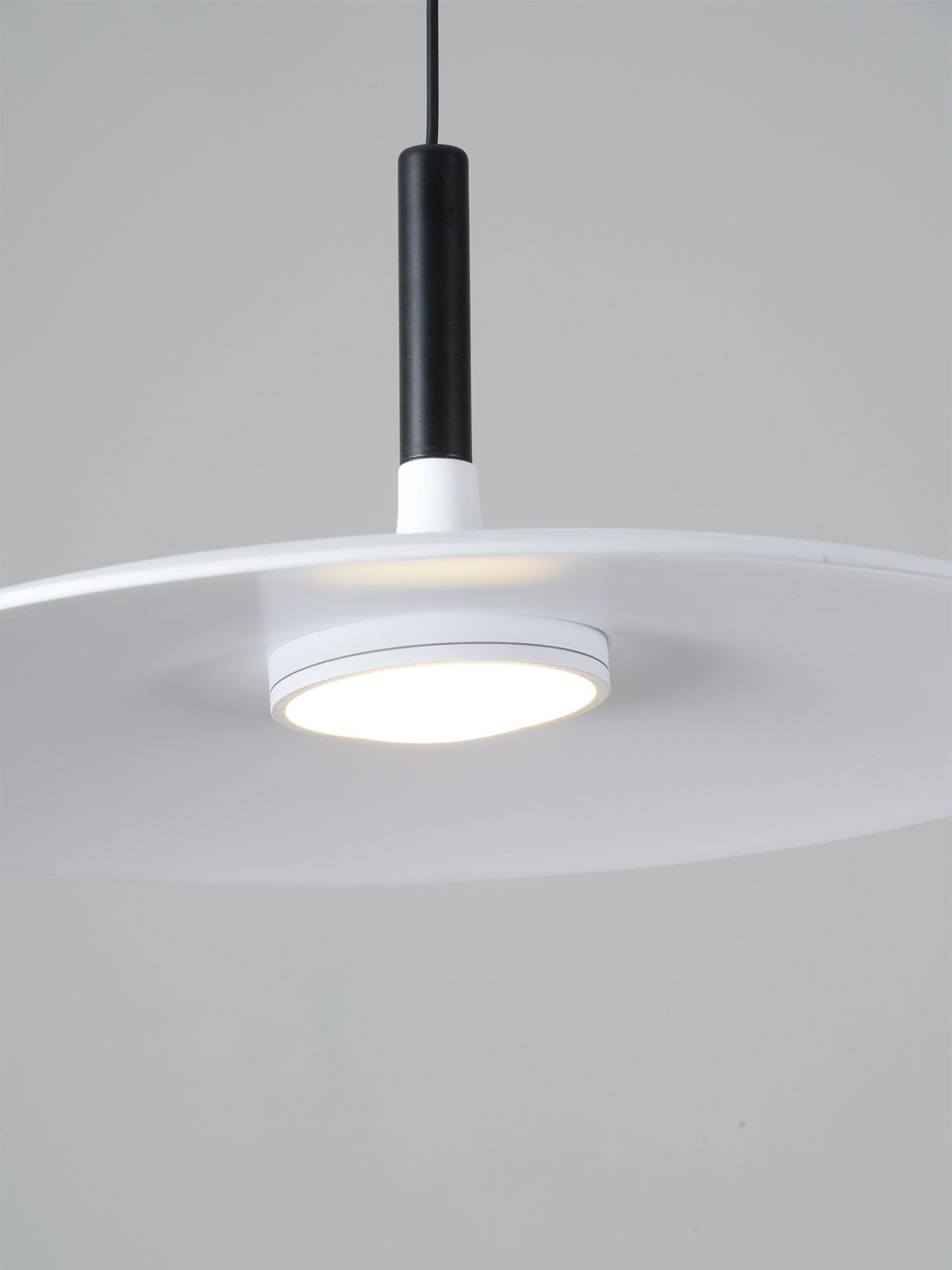 Aplomb Metal Pendant Lamp Pendant light