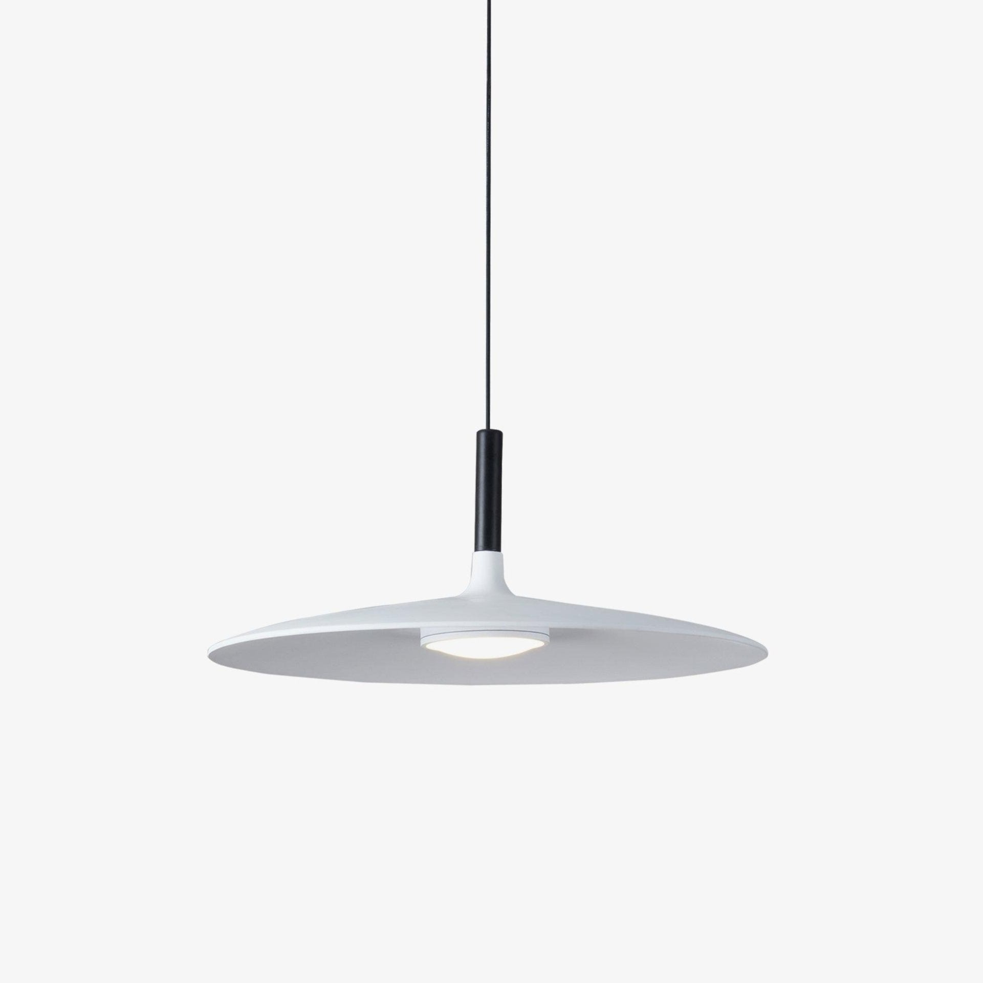 Aplomb Metal Pendant Lamp Pendant light