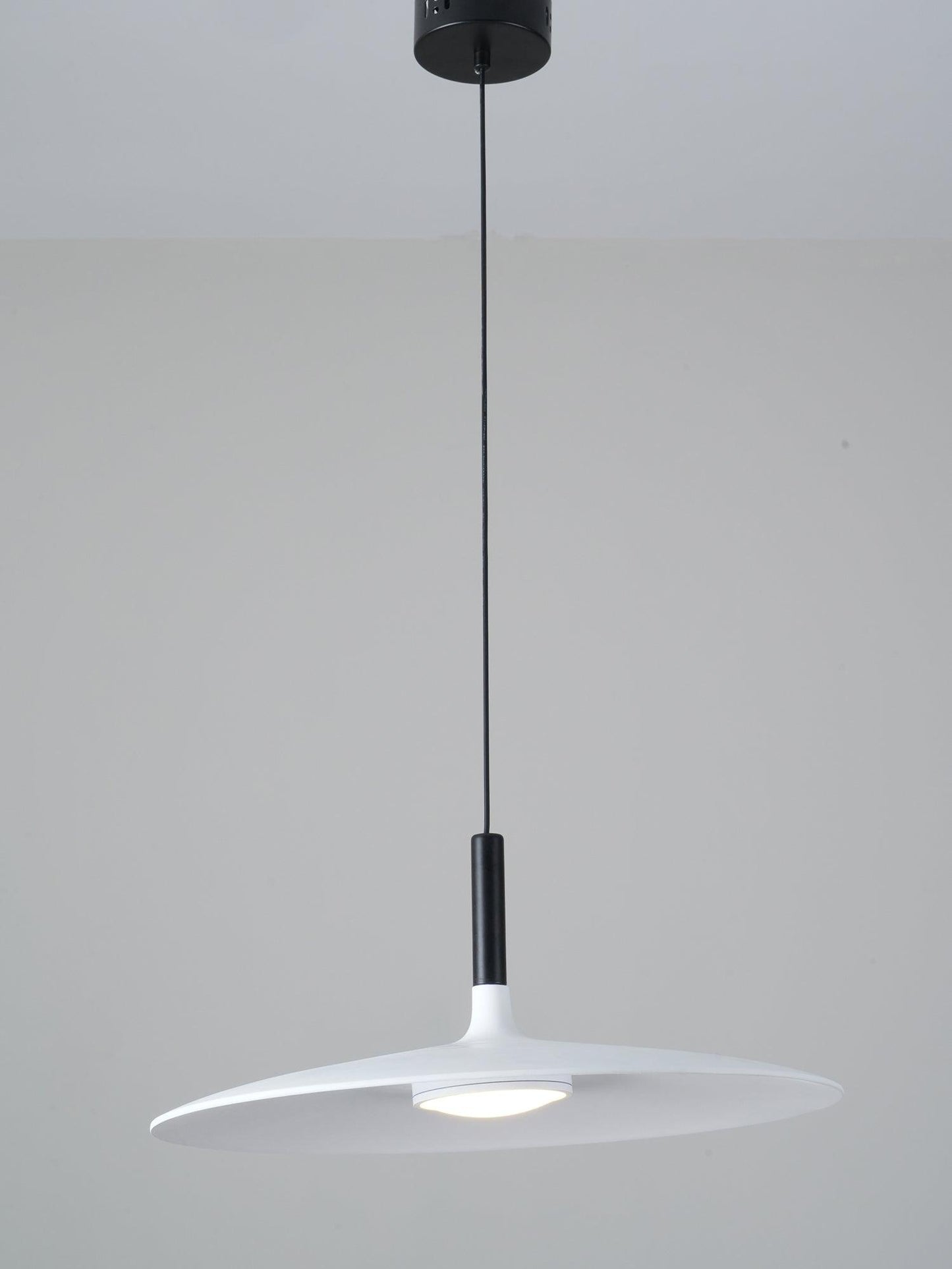 Aplomb Metal Pendant Lamp Pendant light