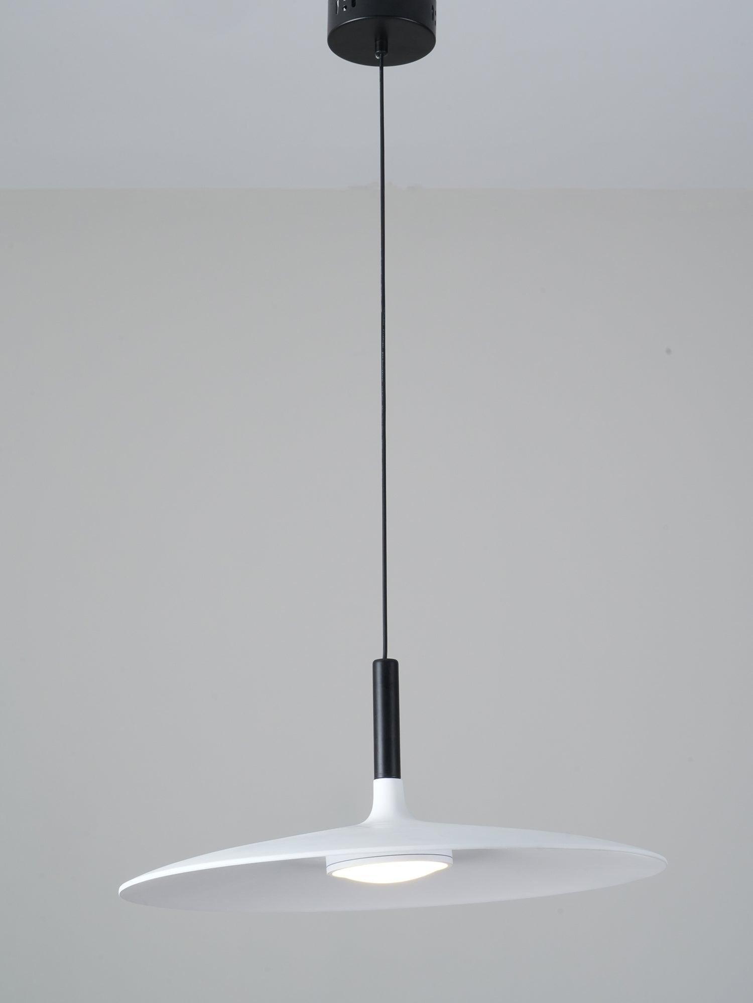 Aplomb Metal Pendant Lamp Pendant light