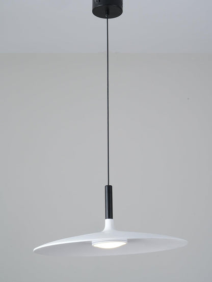 Aplomb Metal Pendant Lamp Pendant light