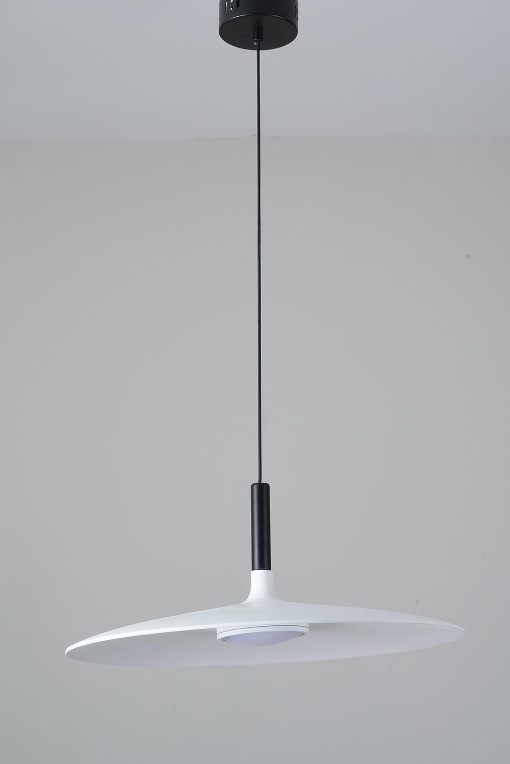 Aplomb Metal Pendant Lamp Pendant light