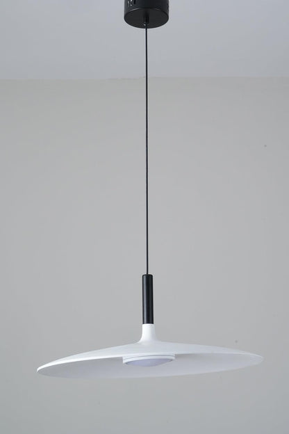 Aplomb Metal Pendant Lamp Pendant light