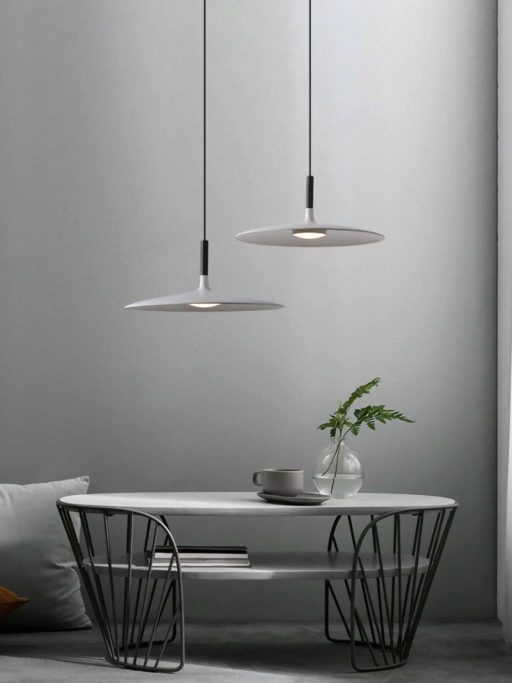 Aplomb Metal Pendant Lamp Pendant light