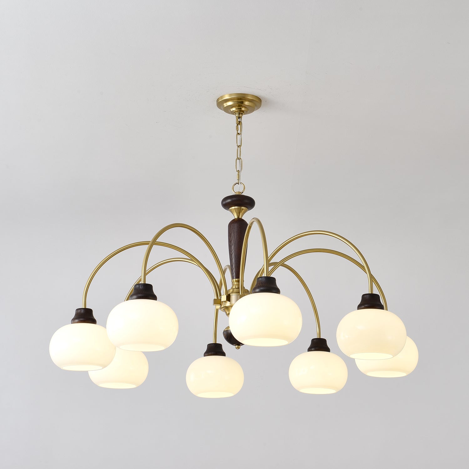Arched Globe Chandelier Chandelier